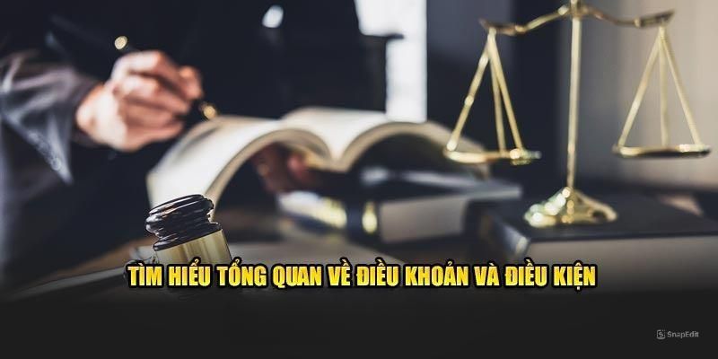 Chính sách điều khoản điều kiện là gì
