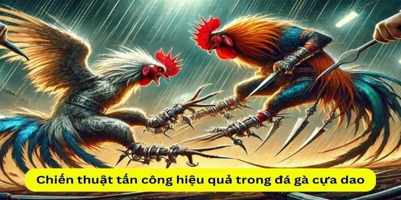 Canh chuẩn thời điểm là một chiến thuật chơi Đá gà cựa dao đạt thắng cao